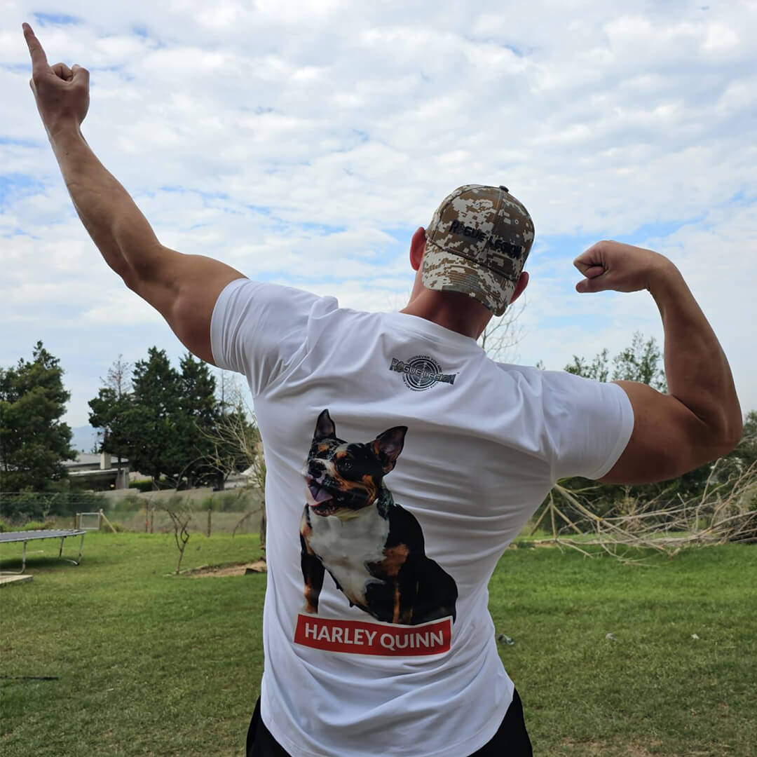 Why Choose Rogue Legion