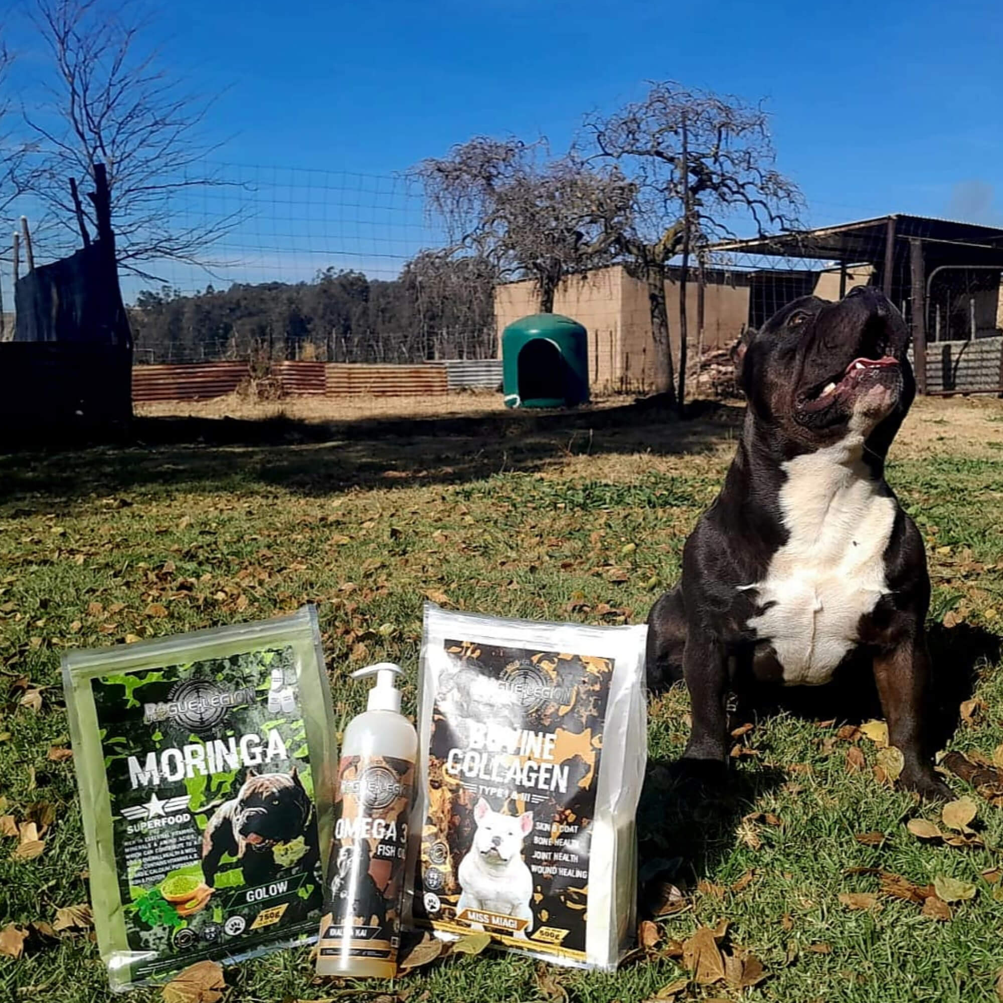 K9 Products