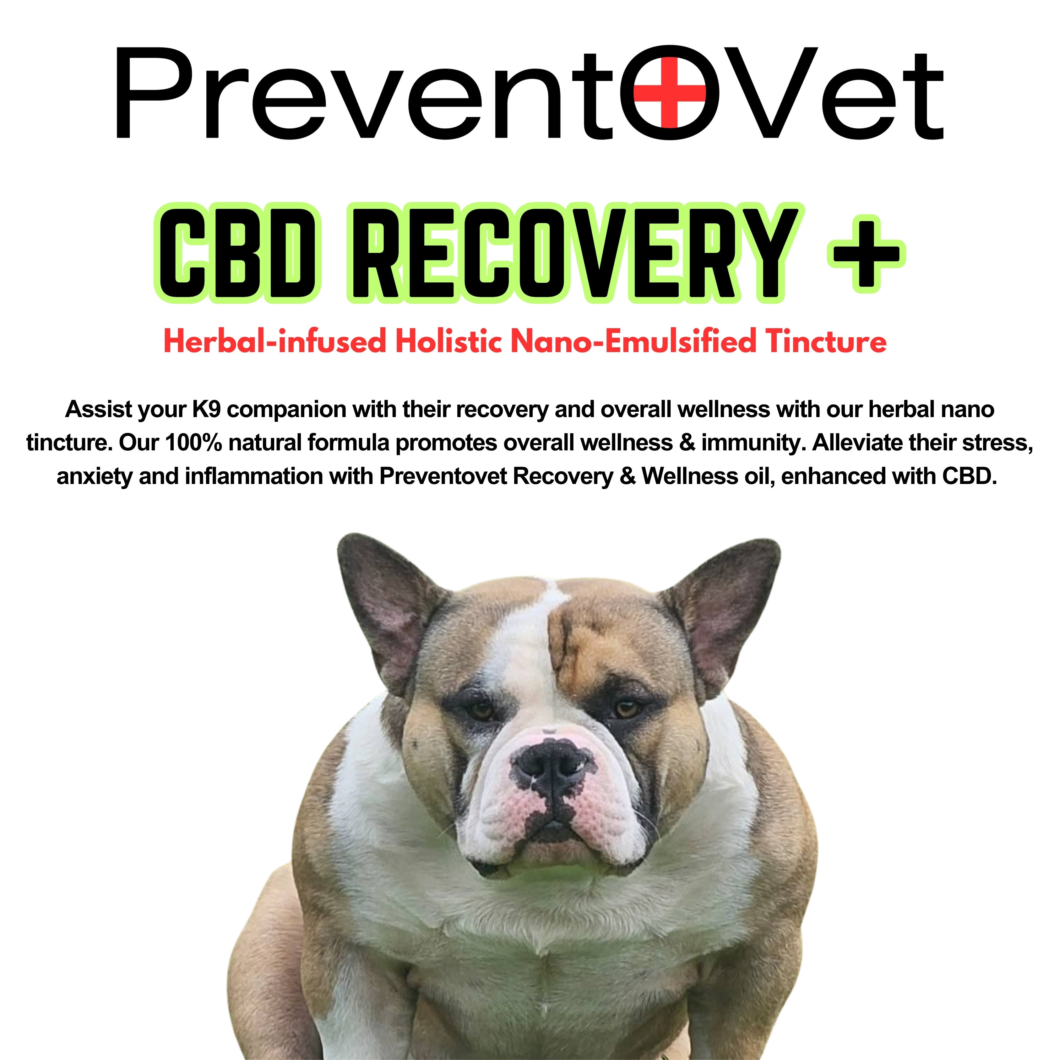 Prevento Vet CBD Recovery + Herbal Nano Tincture (30ml)