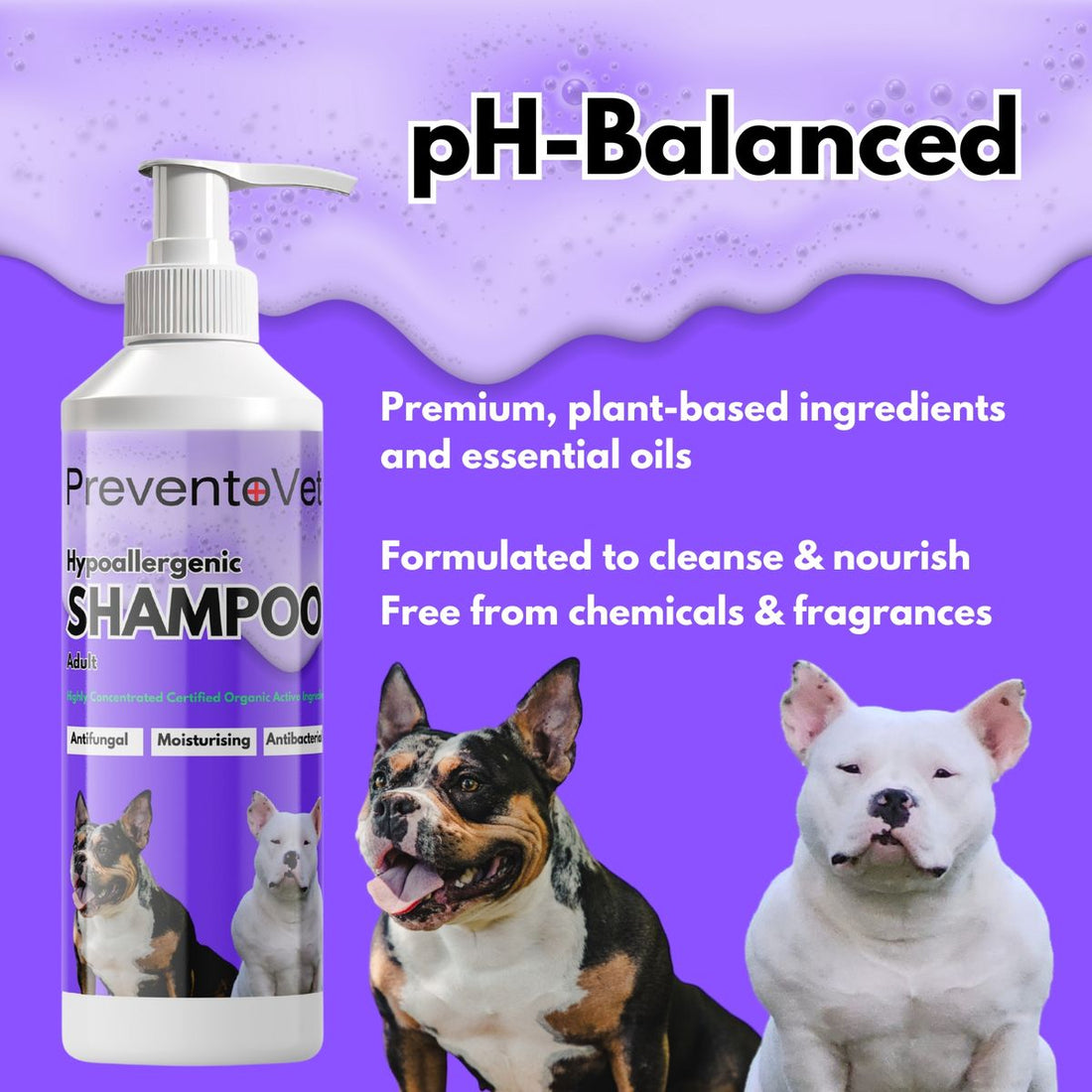 Hypoallergenic Adult Dog Shampoo - 500ml